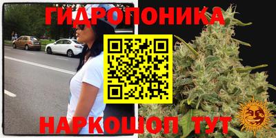 гашик Ефремов